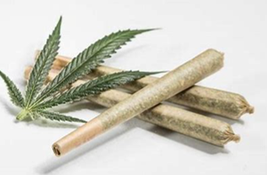 1g Turbo Diesel Pre-Roll (H) 30.2%