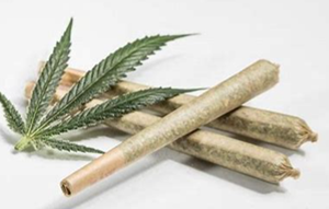 1g Budget Pre-Roll Sativa