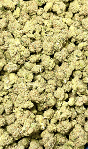 3.5g Ghost 1PK (I) 25.04%