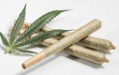 1g Green Wave Pre-Roll (H) 34.43%