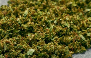 28g Shake (Various Strains)