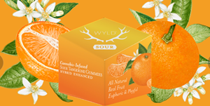 WYLD 100mg Sour Tangerine (H)