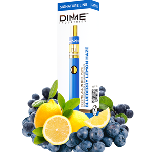 2g Dime Blueberry Lemon Haze Disposable (S)
